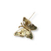 Butterfly brooch/pendant