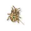 Rubi beetle brooch/pendant