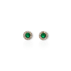 Everyday emerald halo studs